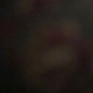 Meet your Posher, Lamarcus porter